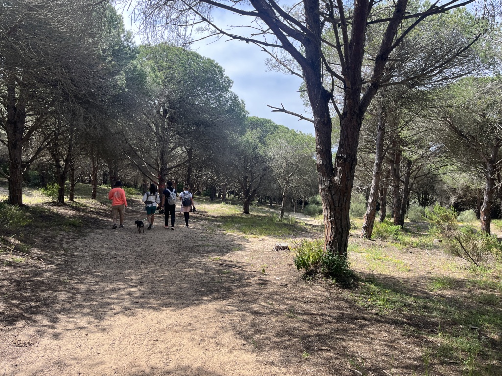 Duna de Bolonia 01