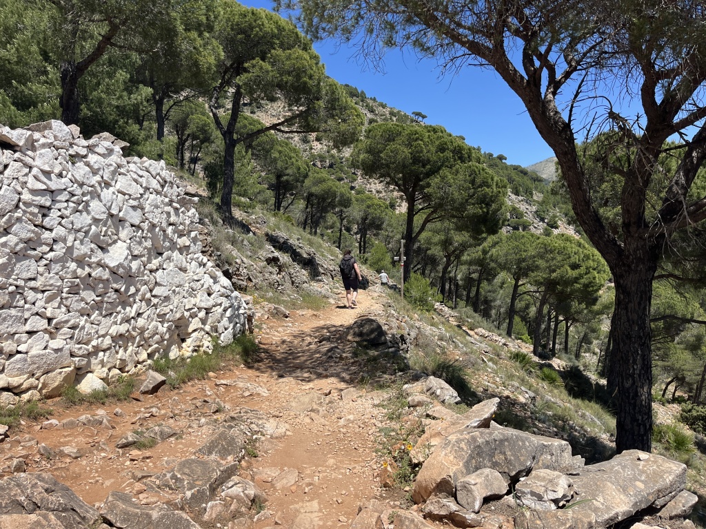 Mijas 40
