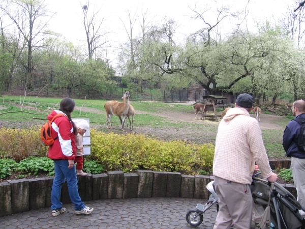 zoo