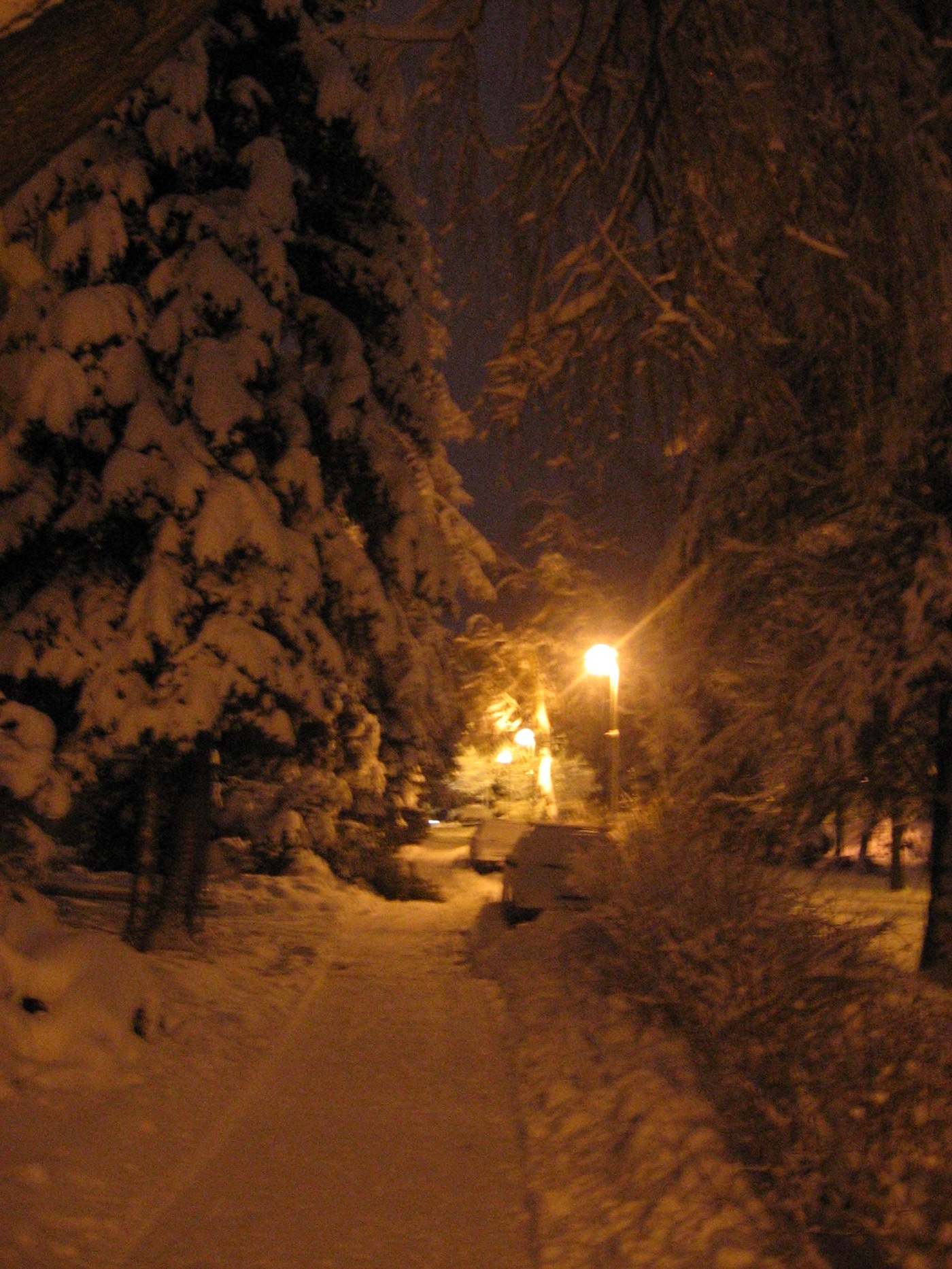 leden04.01.2006 5