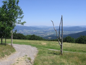 Image most 01