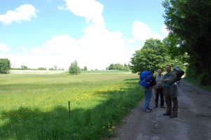 cundr 20.5.2011 09
